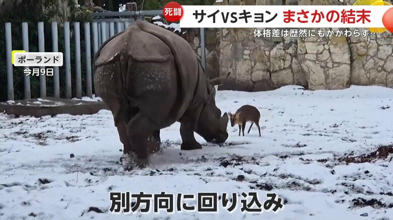 即座に対応するキョン