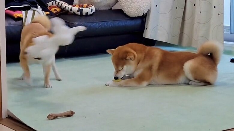 振り回していると…