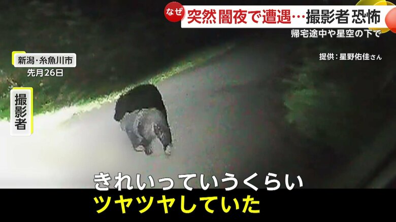 「綺麗っていうくらい、もうつやつやしていたんですよね」と話す撮影者