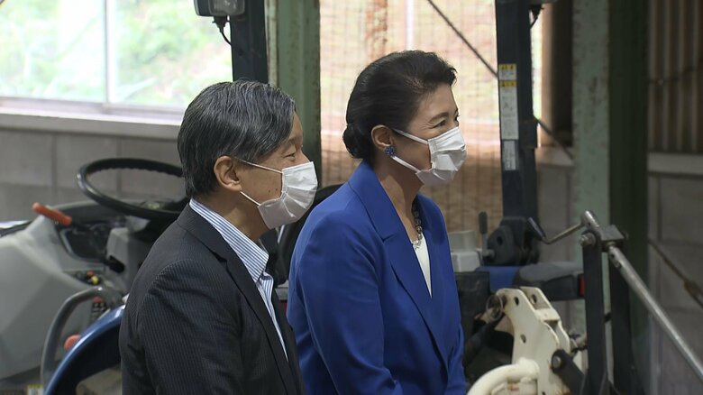 サツマイモ加工場を視察される　10月8日