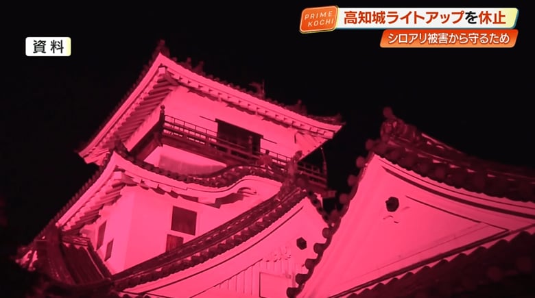 高知城のライトアップ