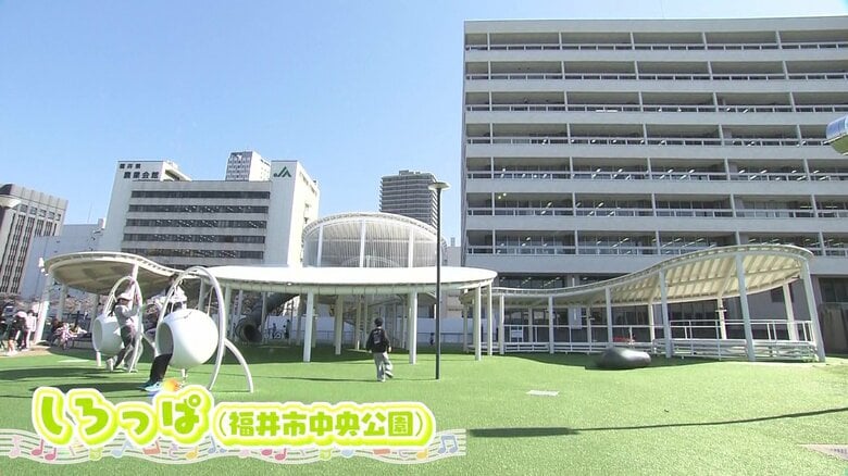 福井市中央公園の「しろっぱ」