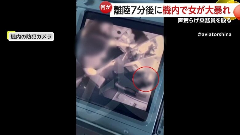 乗務員に暴行する女