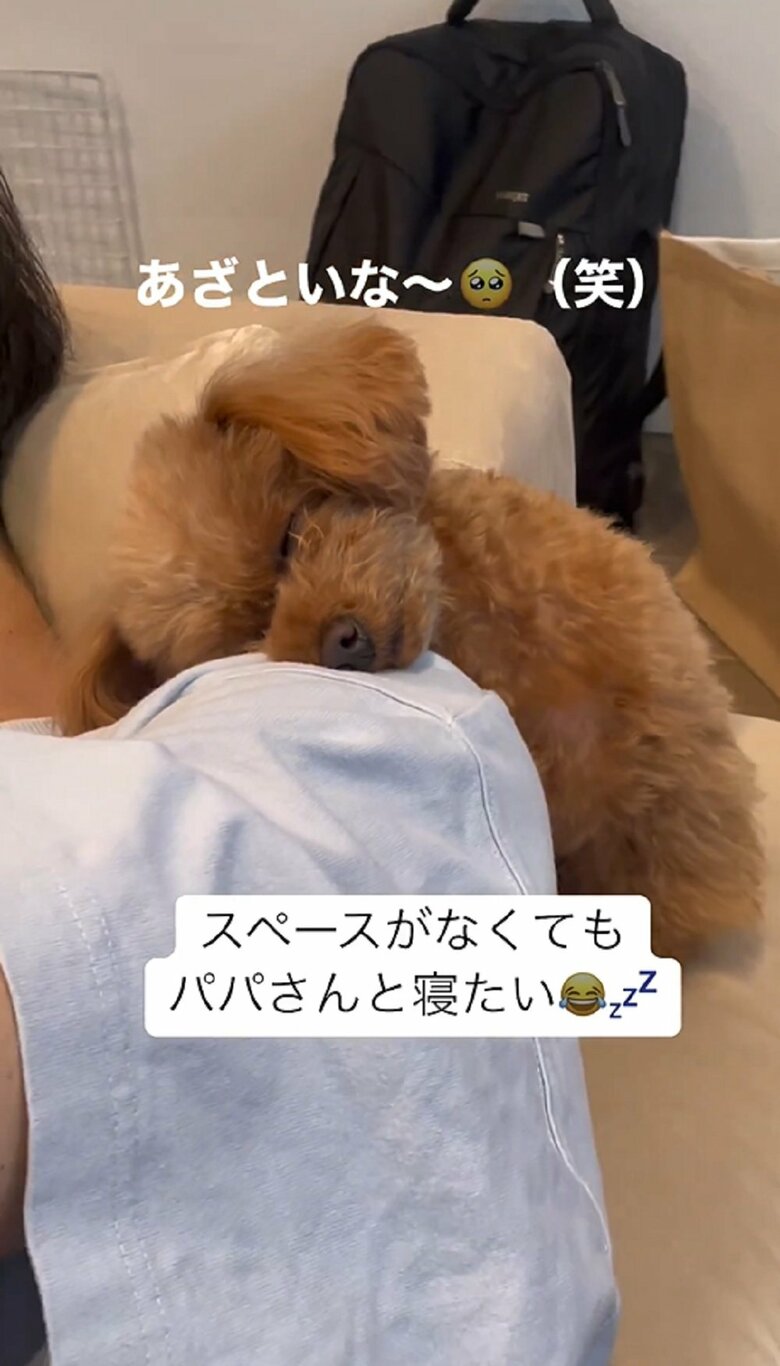 そのまま寝てしまった