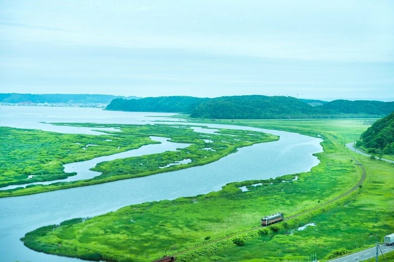 （出典：根室市）