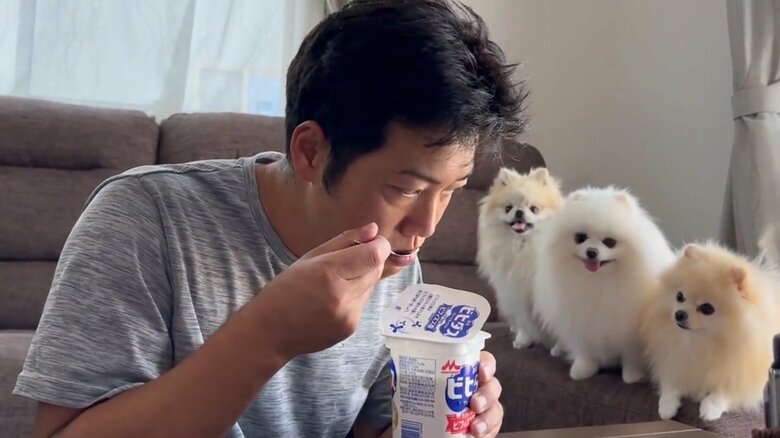 ヨーグルトにも大注目