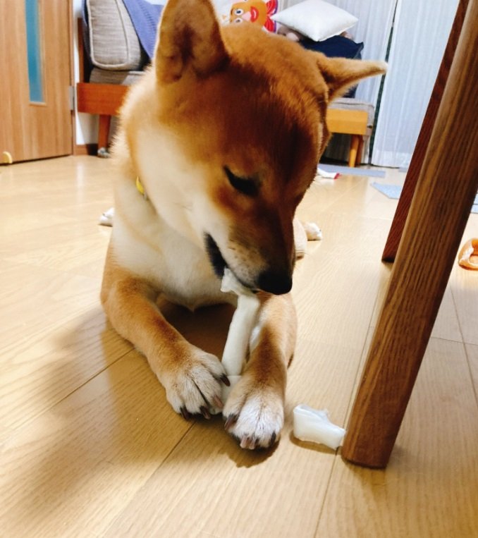 こちらはいつものサイズのおやつ