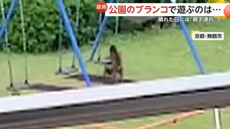 早く代わってと、まるで人間のようなそぶりを見せるサル③