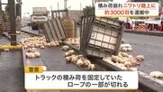道路を埋め尽くすニワトリ　国道でトラックの積み荷が崩れ数千羽が投げ出される　固定用ロープが切れたか
