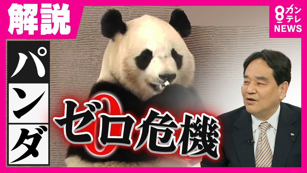 二階元幹事長の引退」が『パンダ4頭すべて返還』の背景か パンダは中国