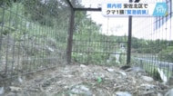 クマ緊急銃猟で駆除　広島県内では初めて　箱わなで捕獲され「動物と人間の共存の難しさを感じた」　【広島発】