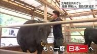 「宮崎で代表を勝ち取ることの方が難しい」大会での連覇を目指す　高千穂町の肥育農家