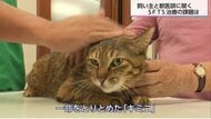 身近な草むらでマダニ21匹を30分間で捕獲 人もペットも苦しめる「SFTS」多様な感染ルートに注意【宮崎発】