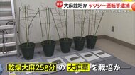 自宅に“乾燥大麻25g分”の大麻草…火事で駆けつけた消防隊員が発見し通報　タクシー運転手の男逮捕「栽培していたことは間違いない」　