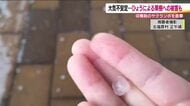 福島・北塩原村では直径1センチのひょう　国見町ではサクランボに降雹被害　14日も注意が必要な天気