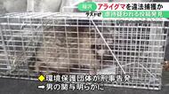 SNS上の虐待疑われる投稿で発覚…野生のアライグマ2頭を罠で捕獲した疑い 40代会社員の男を書類送検
