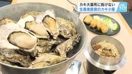 「年中おいしいカキを食べにきて」　生産者直営の「くれオイスターランド」オープン！　広島・呉市