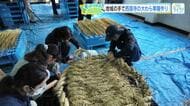 尾道・西国寺のシンボル「大わら草履」 市民の手で製作　13年ぶりの掛け替えへ　 広島