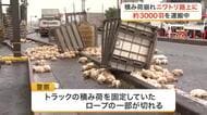 道路を埋め尽くすニワトリ　国道でトラックの積み荷が崩れ数千羽が投げ出される　固定用ロープが切れたか