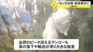沖縄 のろのろ台風6号 生活に影響広がる