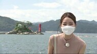 大槌町の「おらほがイチバン」 新種のカニやウミガメも…海洋研究 海の魅力たっぷり<岩手県>