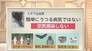 3分でわかるキーワード 「エボラ出血熱」疑いで緊迫