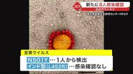 新たに8人の新型コロナ感染確認 仙台市5人、涌谷町2人、利府町1人〈宮城〉