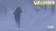 吹雪などで大荒れ 交通事故も多発 ピーク過ぎるも落雪などに注意<岩手県>