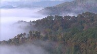 【シリーズ紅葉】紅葉×雲海 「黒沢山」 霧に浮かぶ色づいた木々…神秘的な風景【岡山・津山市】