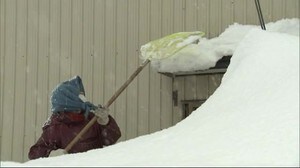 記録的大雪…リンゴ農家や高齢者から悲鳴 秋田・横手市