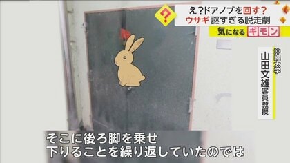 【手口の謎】“エゾユキウサギ”3匹が脱走　専門家「ドアノブに飛び乗り、たまたま開いたのでは」　札幌市・円山動物園