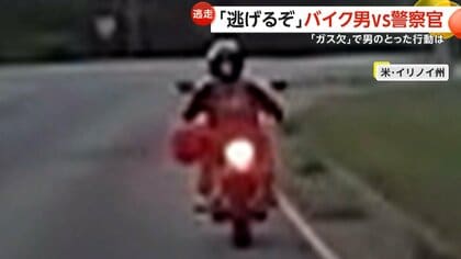 【豪華・大迫力！】警察犬プレート(流通は最後かも？) 小型犬トイプードルの警察犬もいる | 雑学ネタ帳