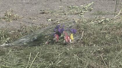 「愛する妻、母を突然失った」　猟銃や刃物で襲われ住民2人、警察官2人が犠牲　一審で死刑判決の青木政憲被告は控訴　遺族「 1日でも早く審理が始まることを願う」長野4人殺害事件から3年