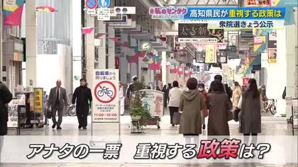 【衆院選2026】減税・賃上げ・平和…高知県民が重視する政策は？あすから期日前投票開始