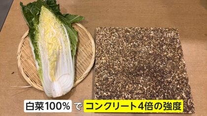 世界初の“食べられるコンクリ”を研究 100%食品廃棄物から作る新素材 町田紘太さんの奮闘【アスヨク!】