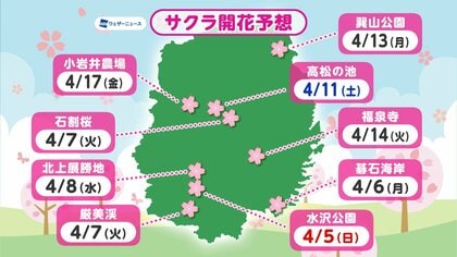 サクラの開花　水沢公園4月5日、石割桜4月7日など　岩手県内の予想　ウェザーニューズ