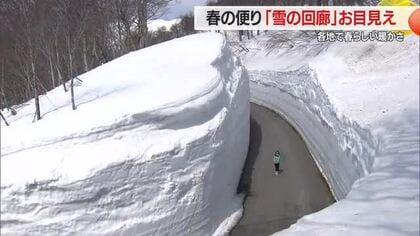 県道・月山志津線・春の除雪はじまる　山形・西川町