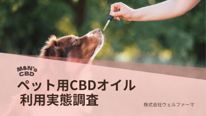 【ペット用CBD 実態調査】86％が“効果あり”と回答。利用目的は「てんかん」「シニアケア」が最多