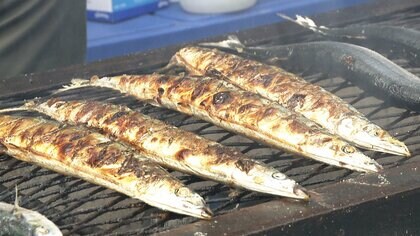 秋の味覚「サンマ」今年は高い？　来遊量は平年より少ない予測　店頭価格は1尾400～500円か　秋サケ・イクラも高騰
