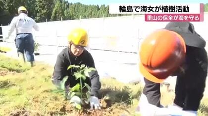 輪島の海女がウニ肥料で植樹 里山再生で海を守る約500本