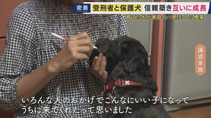 新しい家族のもとへ
