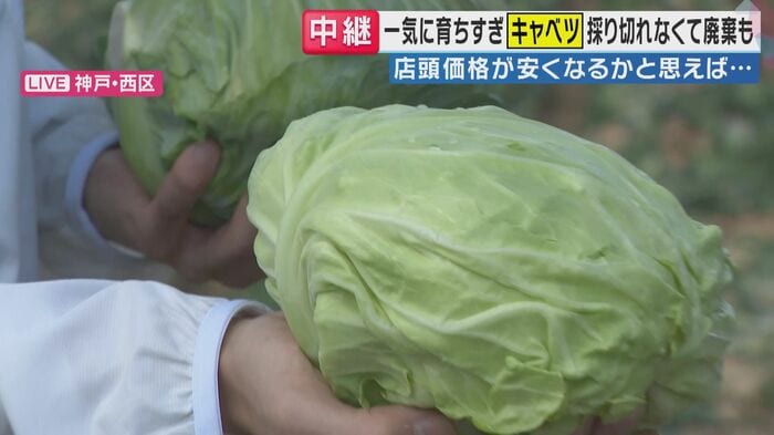 「旬感LIVE とれたてっ！」より