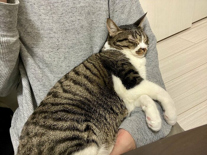 抱っこされたまま眠る