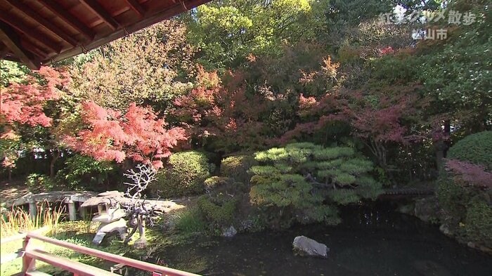 お殿様もこの「池の間」から絶景を眺めていたと言われている