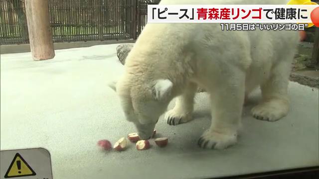 １２月で２６歳に…初物食べて長生きで