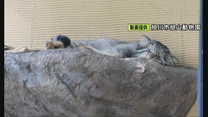 ニュースONE