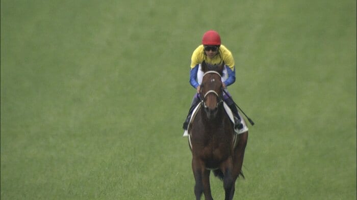 2005年 ディープインパクトで制した日本ダービー