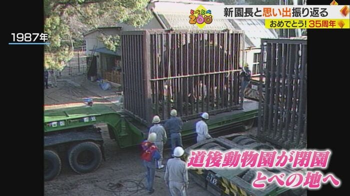 松山市にあった道後動物園から“大移動”(1987年)