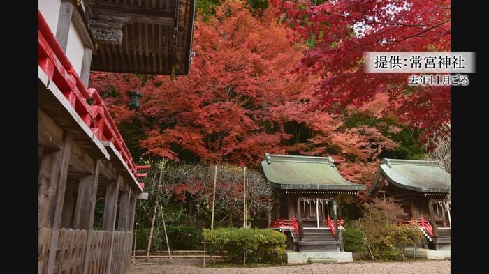紅葉も楽しめる