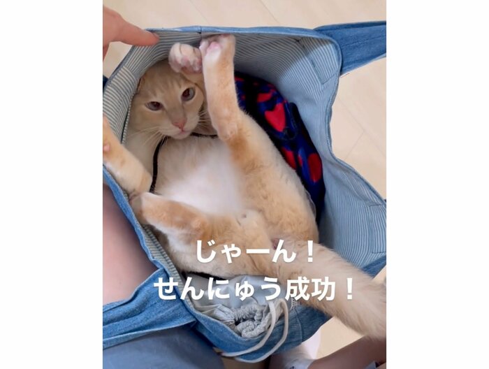 提供:oimo & yuzukiさん